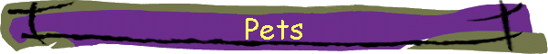 Pets