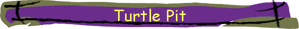 Turtle Pit
