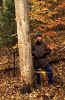 AutumnHike.JPG (81659 bytes)