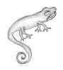 Salamander96.jpg (17607 bytes)