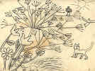 PencilFlowers.JPG (71029 bytes)