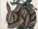 Rabbit.JPG (83673 bytes)